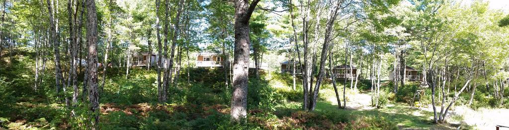Roseway River Cottages Shelburne Exterior photo