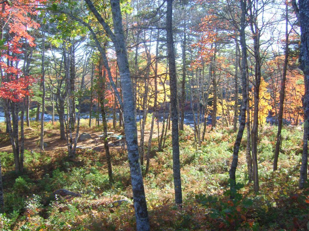 Roseway River Cottages Shelburne Exterior photo