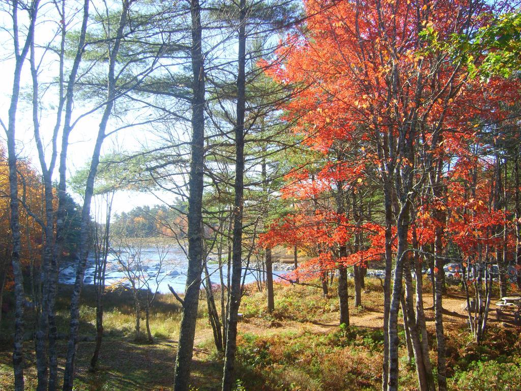 Roseway River Cottages Shelburne Exterior photo