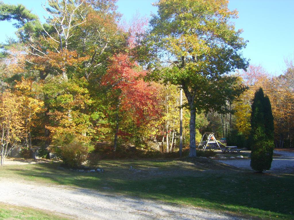 Roseway River Cottages Shelburne Exterior photo