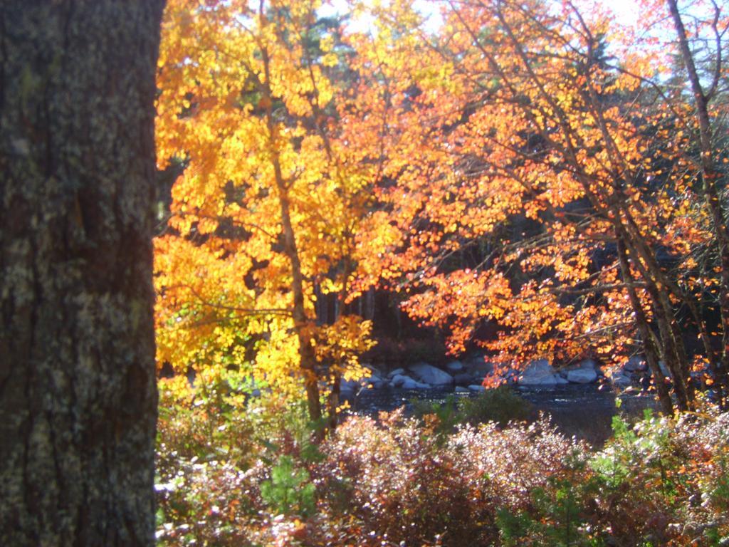 Roseway River Cottages Shelburne Exterior photo