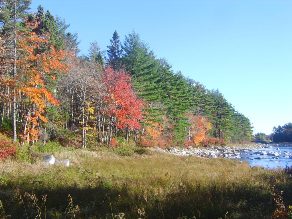 Roseway River Cottages Shelburne Exterior photo